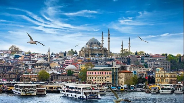 从“内卷”到“弯道超车”：一条被高知家庭悄悄布局的升学捷径