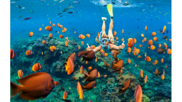 瓦努阿图身份规划：低门槛、高适配，解锁全球配置新可能