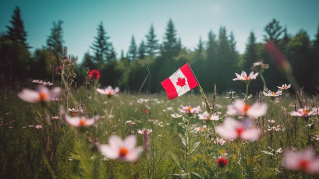 加拿大萨省企业家移民