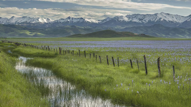 多米尼克投资入籍项目
