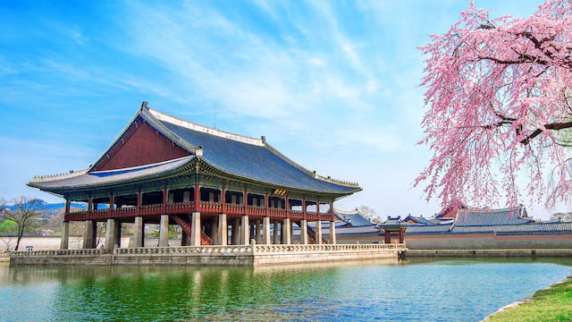 韩国公益事业投资移民