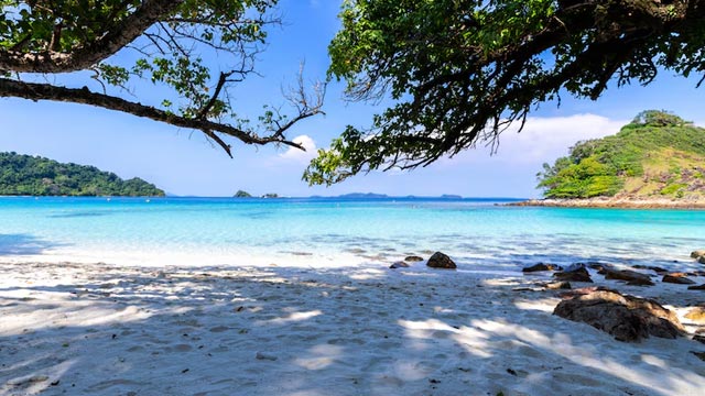 加勒比海国家护照办理